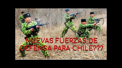 Nuevas Fuerzas de Defensa, Para la Autodefensa Democrática y Polivalente de los Pueblos de Chile???