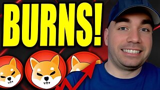 SHIBA INU! THE BURNS ARE GOING UP! 🔥