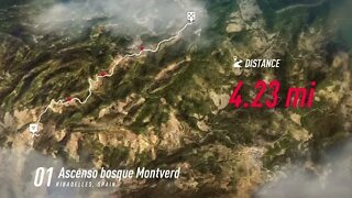 DiRT Rally 2 - Stratos Stumbles at Ascenso bosque Montverd