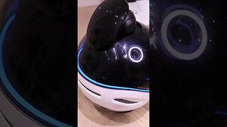 EBO X Robot - Alexa Integration