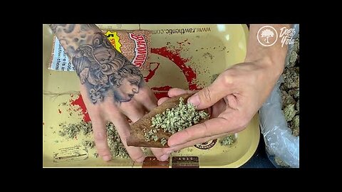 How To Roll A Backwood