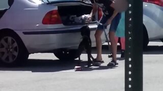 Brevard County woman arrested after shoving dog in car trunk