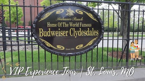 We go on the Clydesdale VIP Experience Tour | Anheuser-Busch Brewery St Louis MO