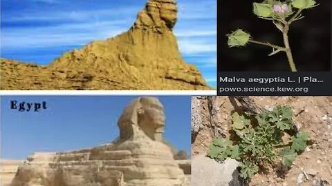 The real "Aegypt": Balochistan! i.e. Ba'al. RIDDLE SOLVED! Told you, were at the end of this study!