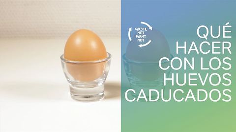 Sin desperdicios: qué hacer con los huevos caducados