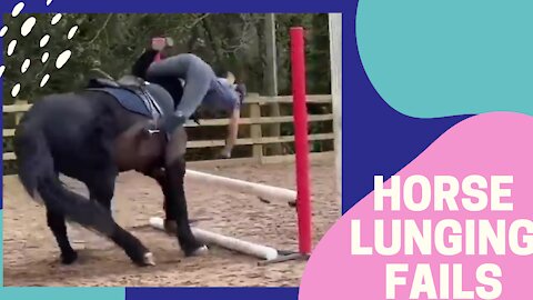 HORSE LUNGE FAILS AND FALLS (MUST WATCH)