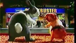 2002 Blockbuster Video "CGI Animals Shaking Their Rear Ends" TV Commercial (2000's Ad)