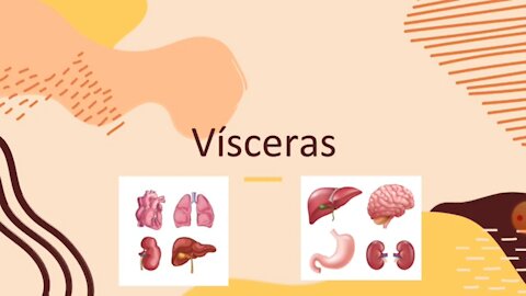 🥩Carnes de órgãos são boas ou ruins para sua saúde🧠💓