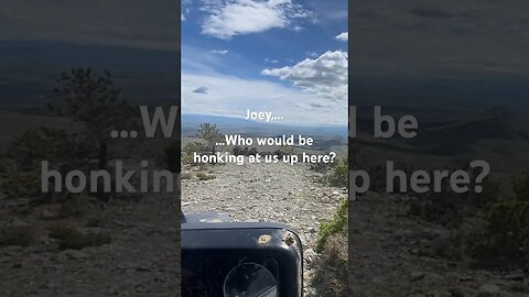 Jeep shenanigans #Jeep #Gladiator #BigSky #Overlanding #Offroading #Shenanigans #Mountains