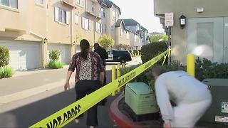 Double murder suicide in South Bay