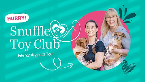 LAST DAY for August Snuffle Toy Club Sign Up