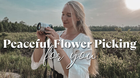 Peaceful Flower Picking for You in the Country