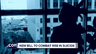 New bill to combat rise in suicide