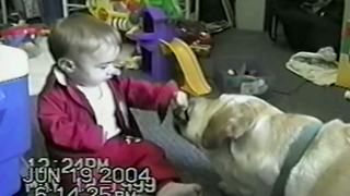 "Dog And A Kid Share A Cookie"