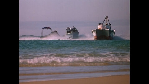 هجوم قرش في فيلم الرعب الساحلي الوحشي هذا، يبحث عالم الأحياء البحرية عن إجابات