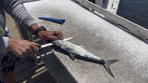 How to filet a mackerel