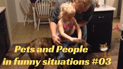 Pets and people in funny situations #3
