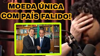 HADDAD JÁ COMEÇOU COM AS LOUCURAS | MONARK TALKS