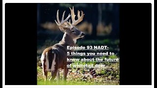 Episode 93 NADT- 5 things you need to know about the future of whitetail deer