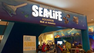 SEA LIFE Minnesota Aquarium in Mall of America