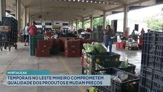 Hortaliças: temporais no Leste Mineiro comprometem qualidade dos produtos e mudam preços.