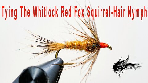 Whitlock's Red Fox Squirrel-Hair Nymph - Dressed Irons