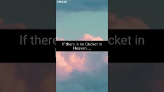 If there is No Cricket...
