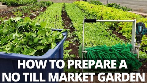 Make $ In Your Front Yard | How to Start a No Till Market Garden