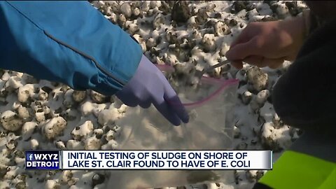 Tests show E. coli in the sludge on Lake St. Clair