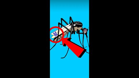 tiktok's genetically modified mosquitoes