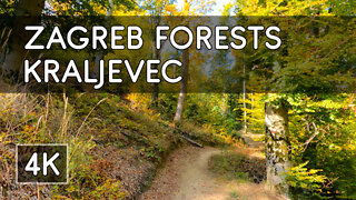 Walking Tour: Zagreb Forests (Pt. 2): Kraljevec - Zagreb, Croatia - 4K UHD Virtual Travel