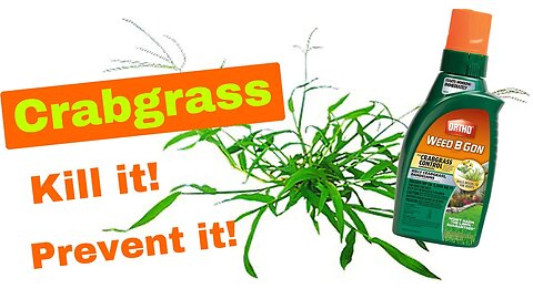 HOW TO KILL AND REMOVE CRABGRASS WITHOUT KILLING YOUR LAWN - 3 Steps To Success