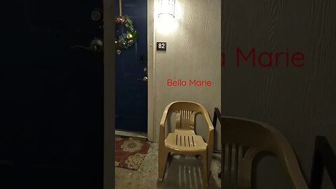 Dog Opens the door