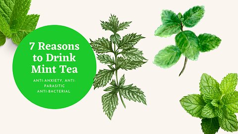 Natural Anti Anxiety Remedy: 7 Reasons to Gr○w and Drink Mint 🌿 Every Day