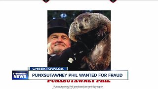 Cheektowaga police looking for Punxsutawney Phil for fraud