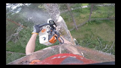 Serious Chainsaw Work | Never Attempt This Unless...