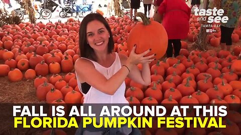 Hunsader Farms Pumpkin Festival | Taste and See Tampa Bay