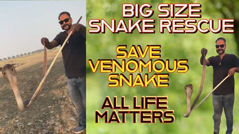 Big size Snake Rescue । Saving a Deadly Snake । ALL LIFE MATTERS