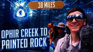 Ophir Creek to Painted Rock | Tahoe Rim Trail With a Dog June 2021| Episode 4