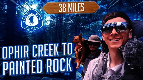 Ophir Creek to Painted Rock | Tahoe Rim Trail With a Dog June 2021| Episode 4