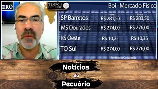 Boi gordo perde R$21@ em agosto e indicador acumulou queda de 5% no mês