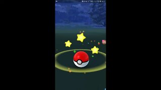 Live Pokémon GO -