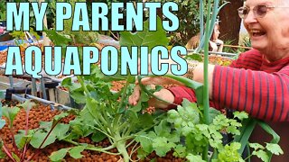 Aquaponics System | My Parents Split Flow Aquaponics System