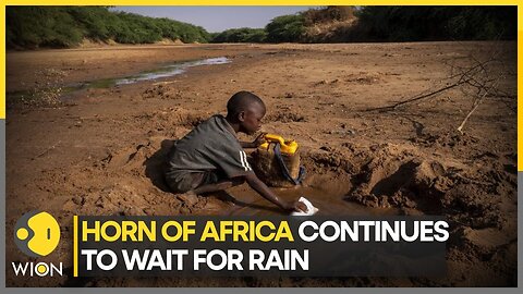 Horn of Africa likely to get no rainfall | WION Climate Tracker
