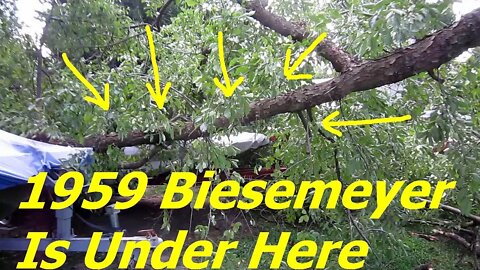 1959 Biesemeyer Rescued From Under A Fallen Tree