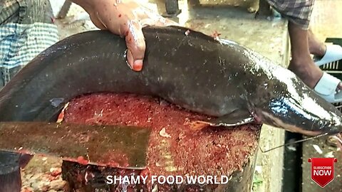 UNIQUE FISH CUTTING BY INDIAN VILLAGE PEOPLE IN FISH MARKET || PART II HD 1080P VIDEO (1080p)