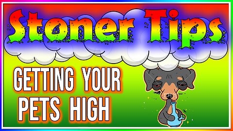 STONER TIPS #53: GETTING YOUR PETS HIGH (Is It Okay?)