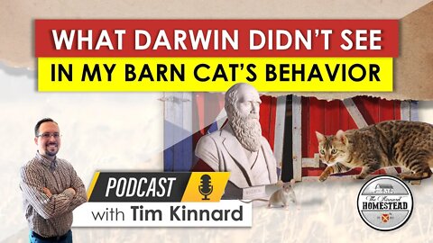 What Darwin Didn't See in my Barn Cat's Behavior