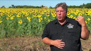 6th generation Wisconsin farm goes back to its roots, spurred by harm caused by pesticides