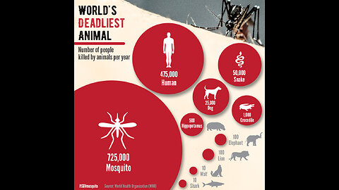 Animal that kills the most people each year.